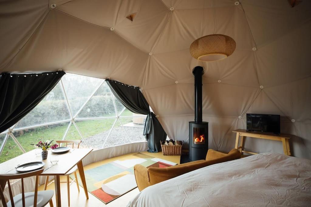 Tonic At The Little Retreat, Pembrokeshire *