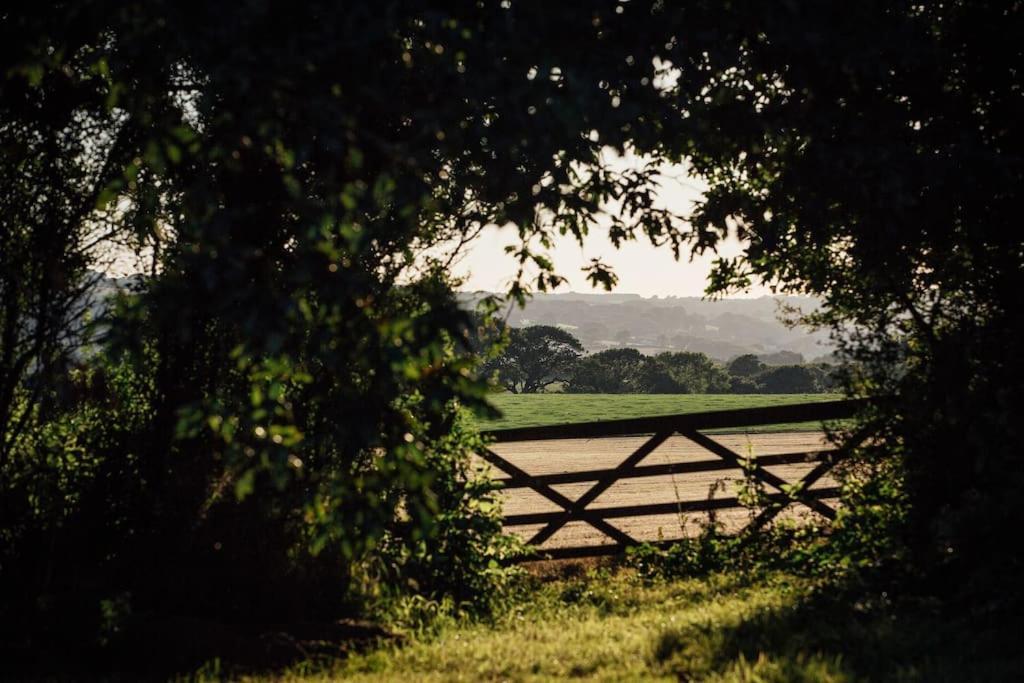 Tonic At The Little Retreat, Pembrokeshire * Kilgetty