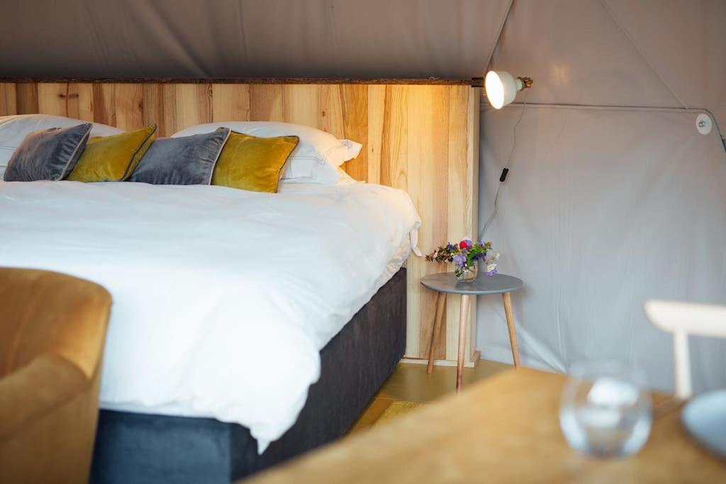 Tonic At The Little Retreat, Pembrokeshire Appartamento