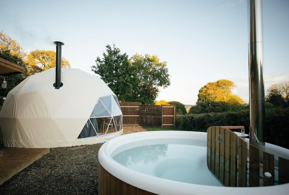 Tonic At The Little Retreat, Pembrokeshire Kilgetty